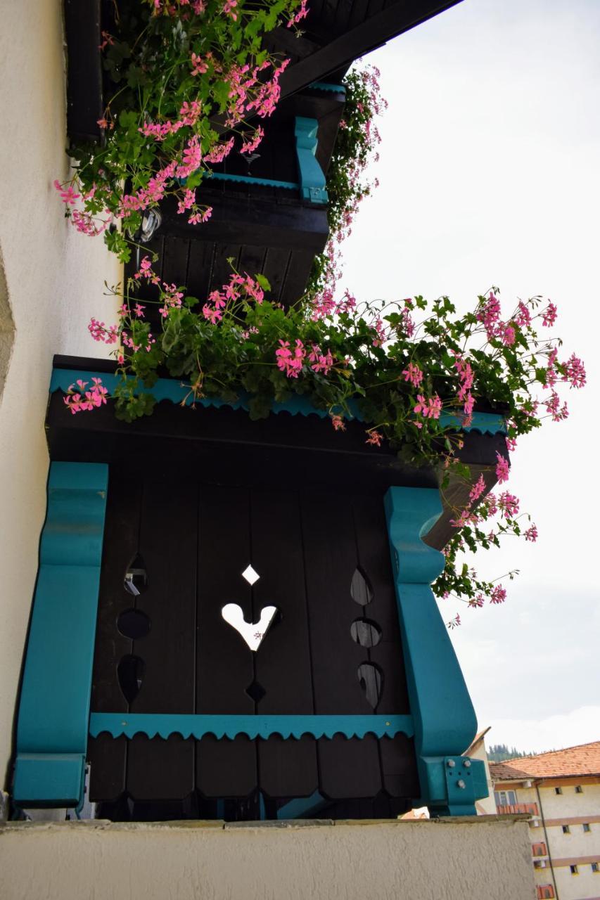 Vila Seva Vatra Dornei Esterno foto