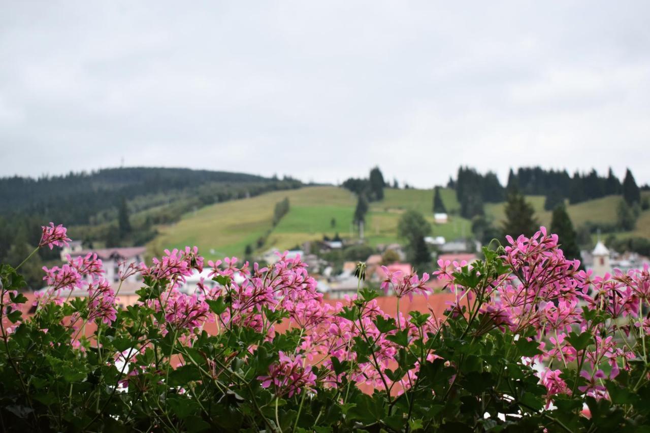 Vila Seva Vatra Dornei Esterno foto